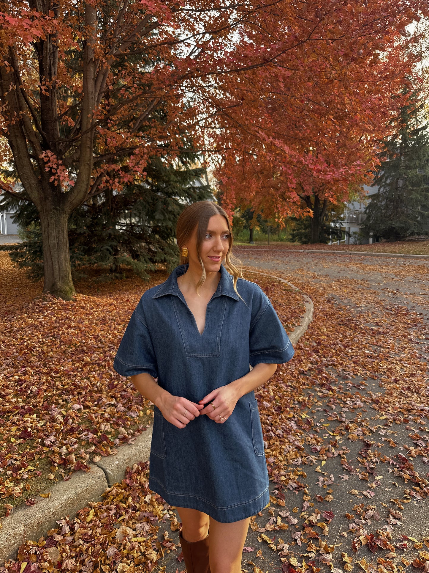 Amelia Denim Dress - Restocked