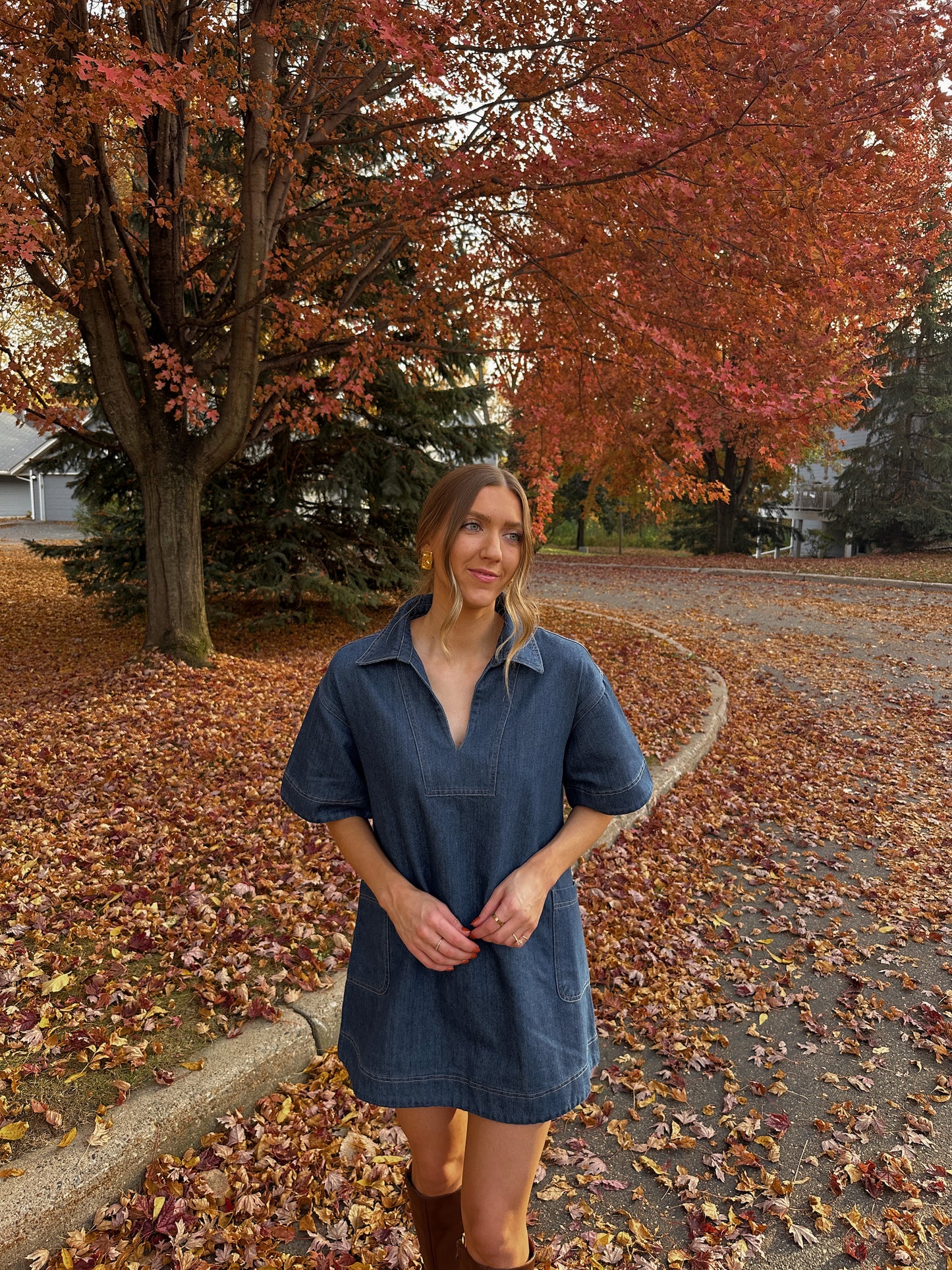 Amelia Denim Dress - Restocked