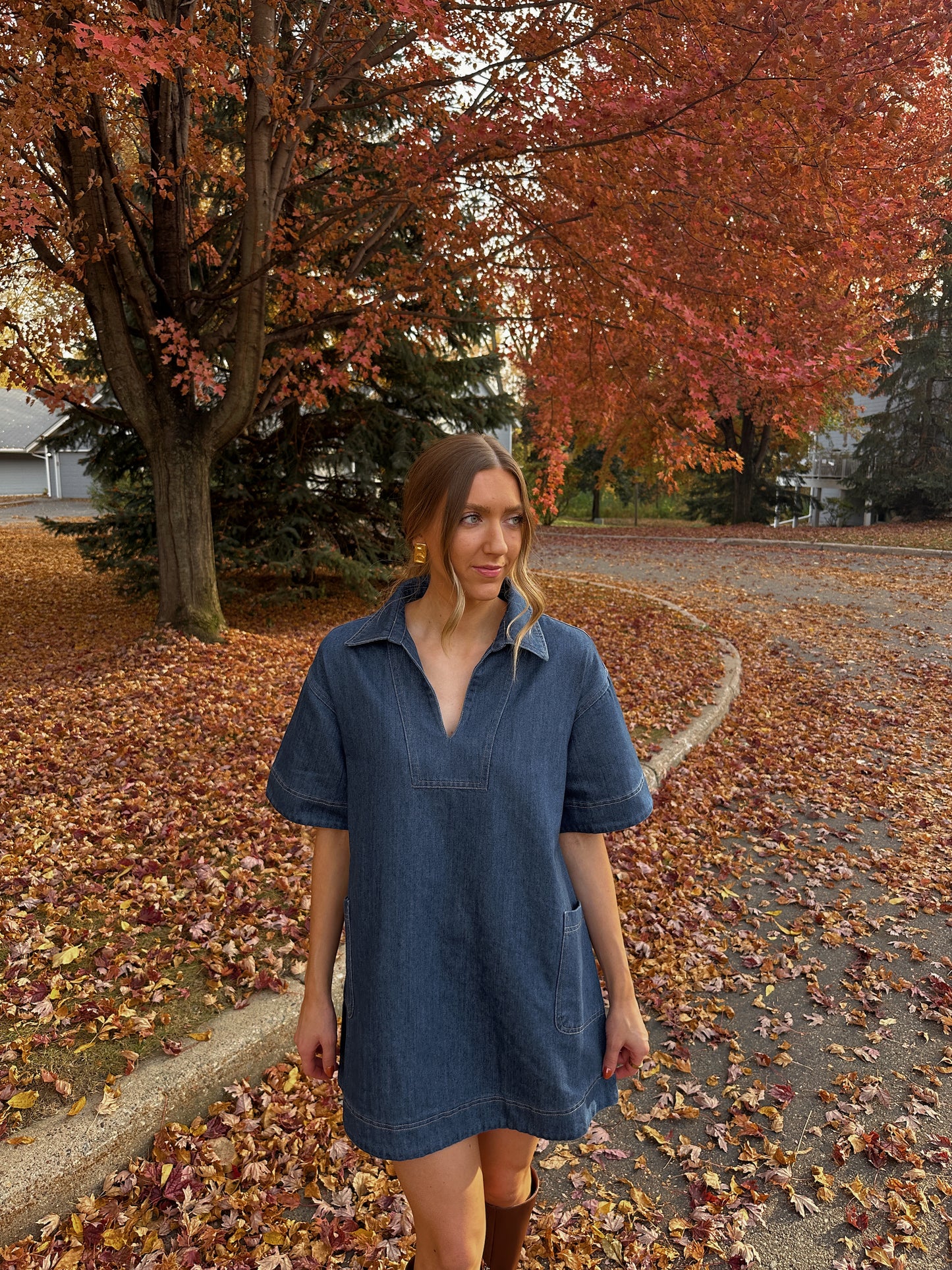 Amelia Denim Dress - Restocked