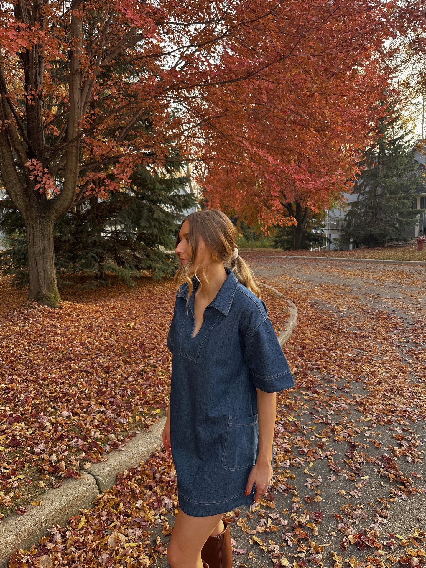 Amelia Denim Dress - Restocked