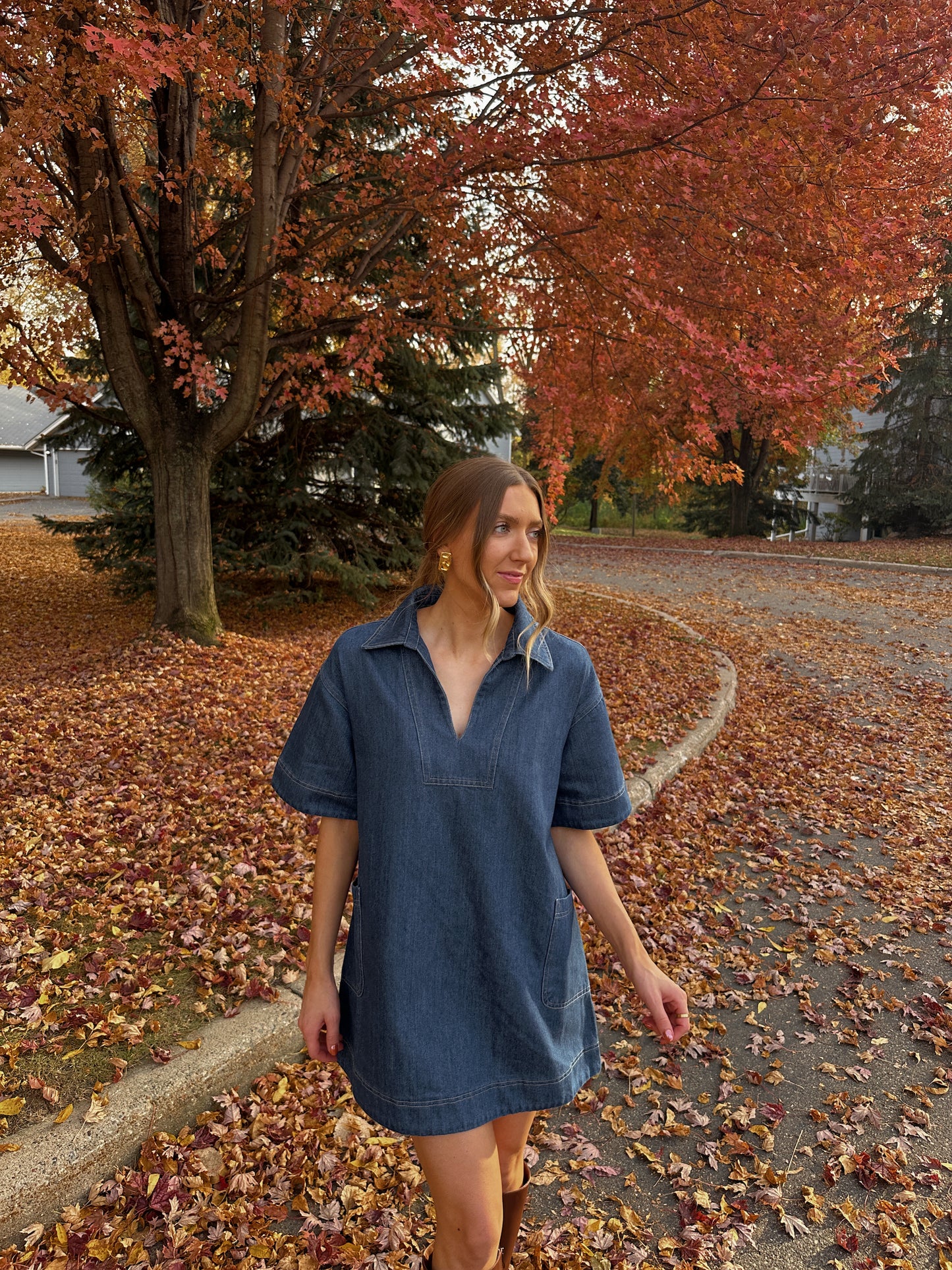 Amelia Denim Dress - Restocked