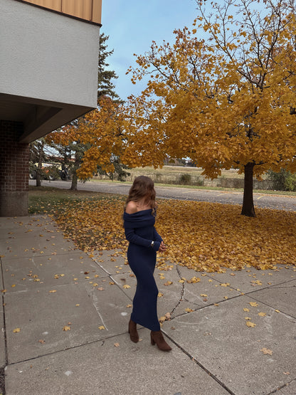 Tara Knit Maxi Dress