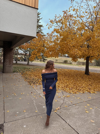 Tara Knit Maxi Dress