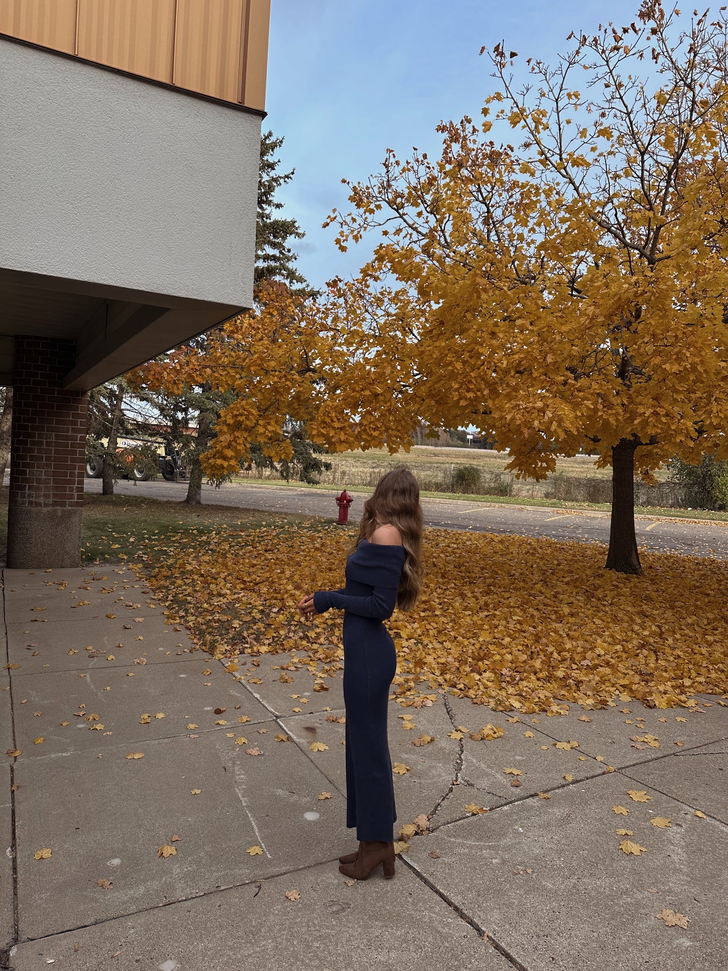 Tara Knit Maxi Dress