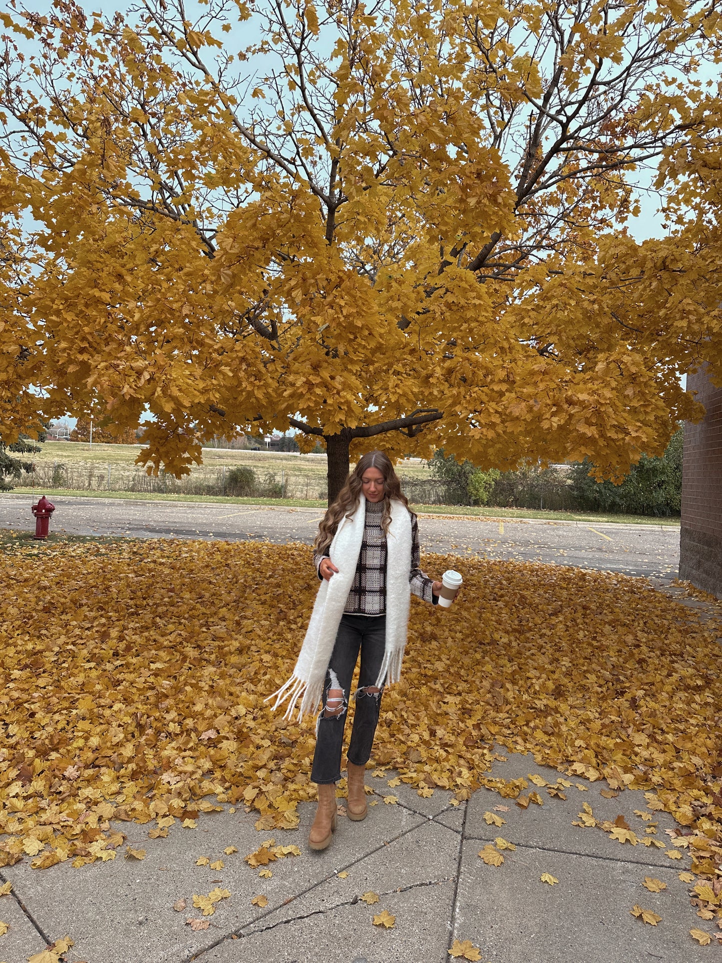 Maplewood Knit Sweater