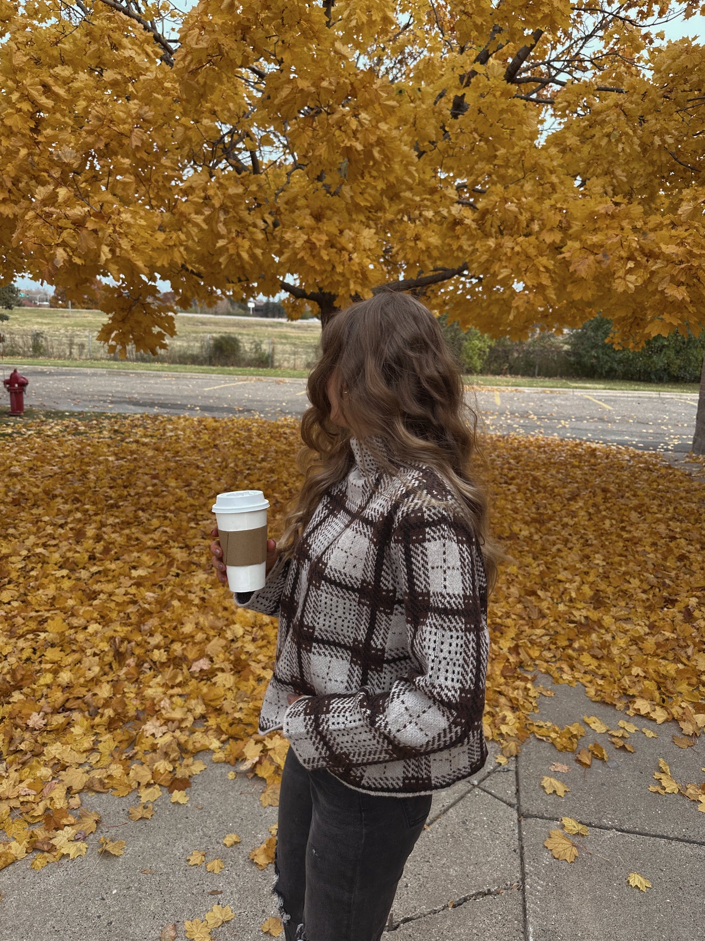 Maplewood Knit Sweater